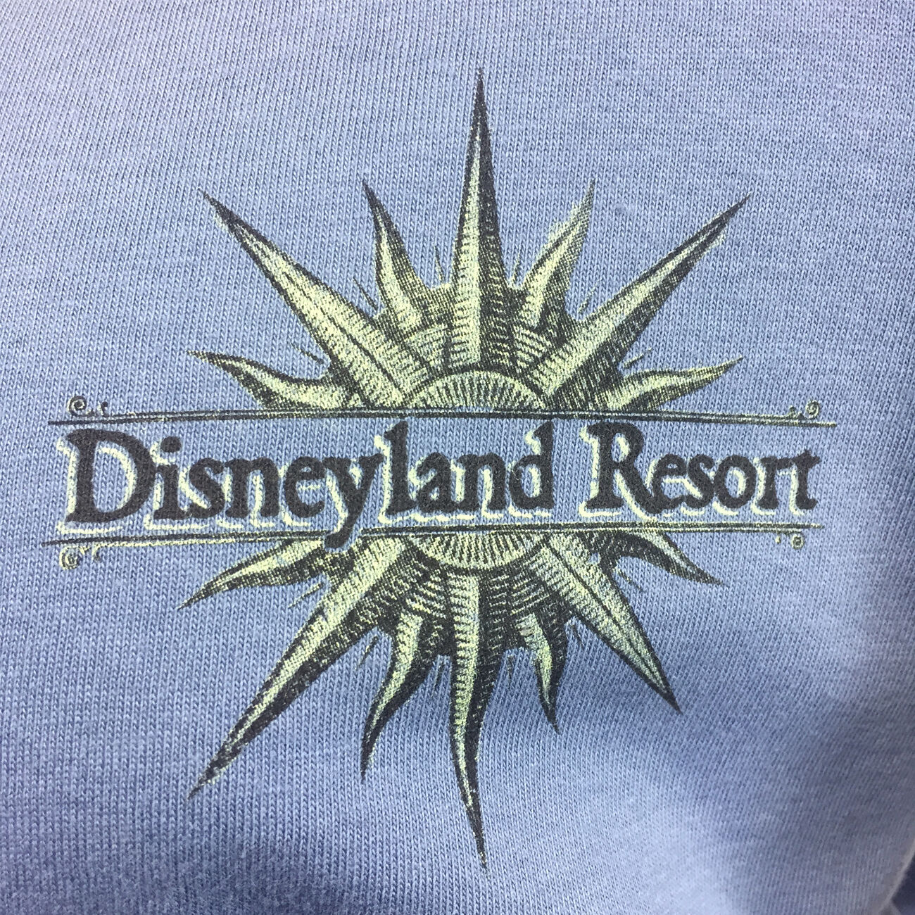 Men's T-Shirt DISNEY Land Resort Est. 1971 California - Cotton Tee- Blue NEW