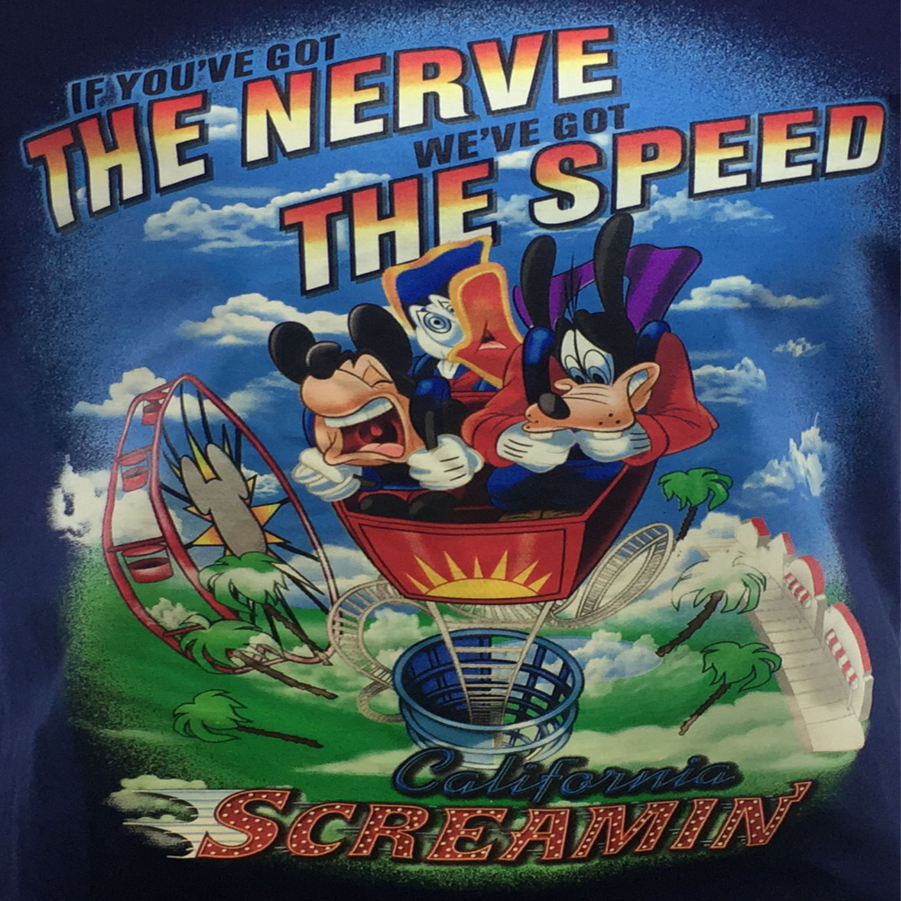 Disney California Screaming Theme Park T-Shirt - Mens/Unisex
