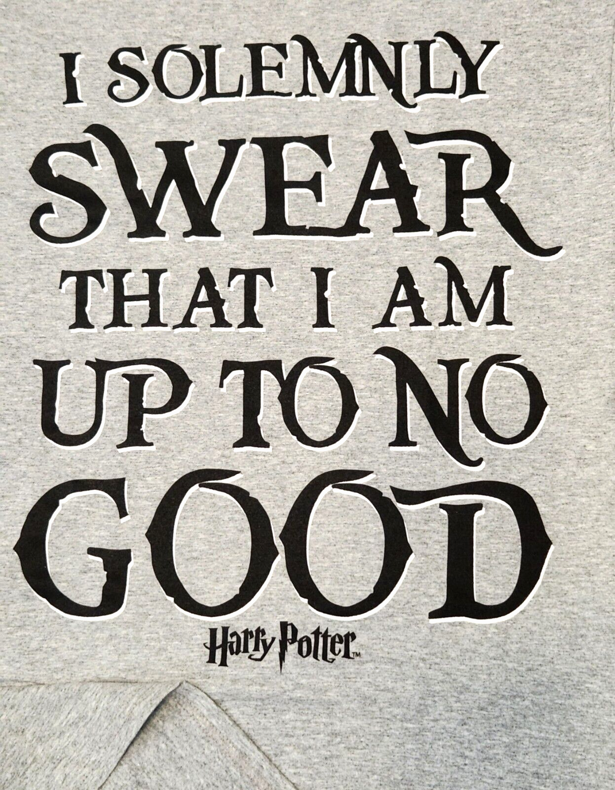 Harry Potter Movie Quote T-Shirt - Mens/Unisex