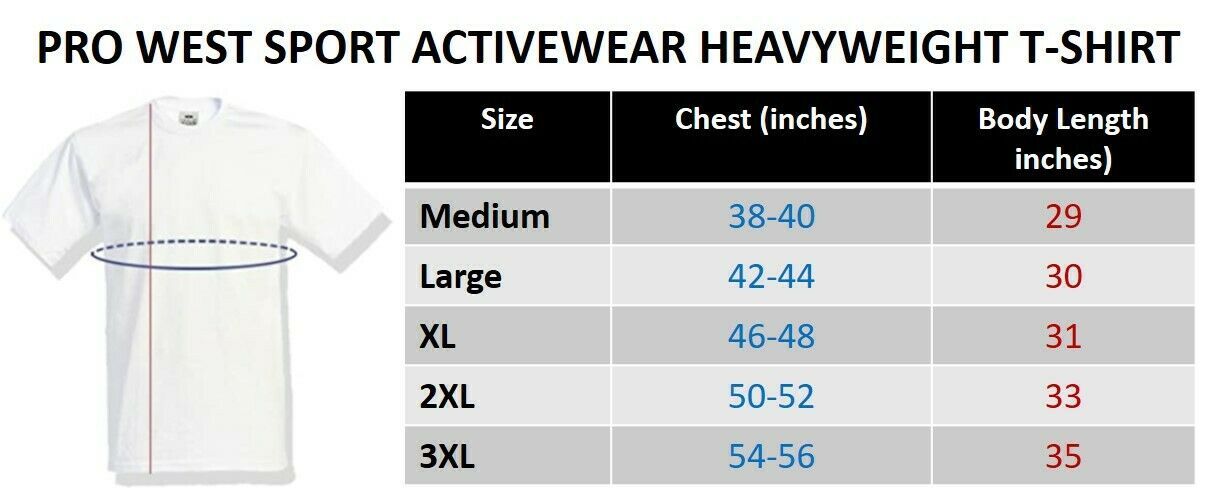 PRO WEST MENS Sport Activewear Heavyweight T-Shirt White or Black (Pack of 2)