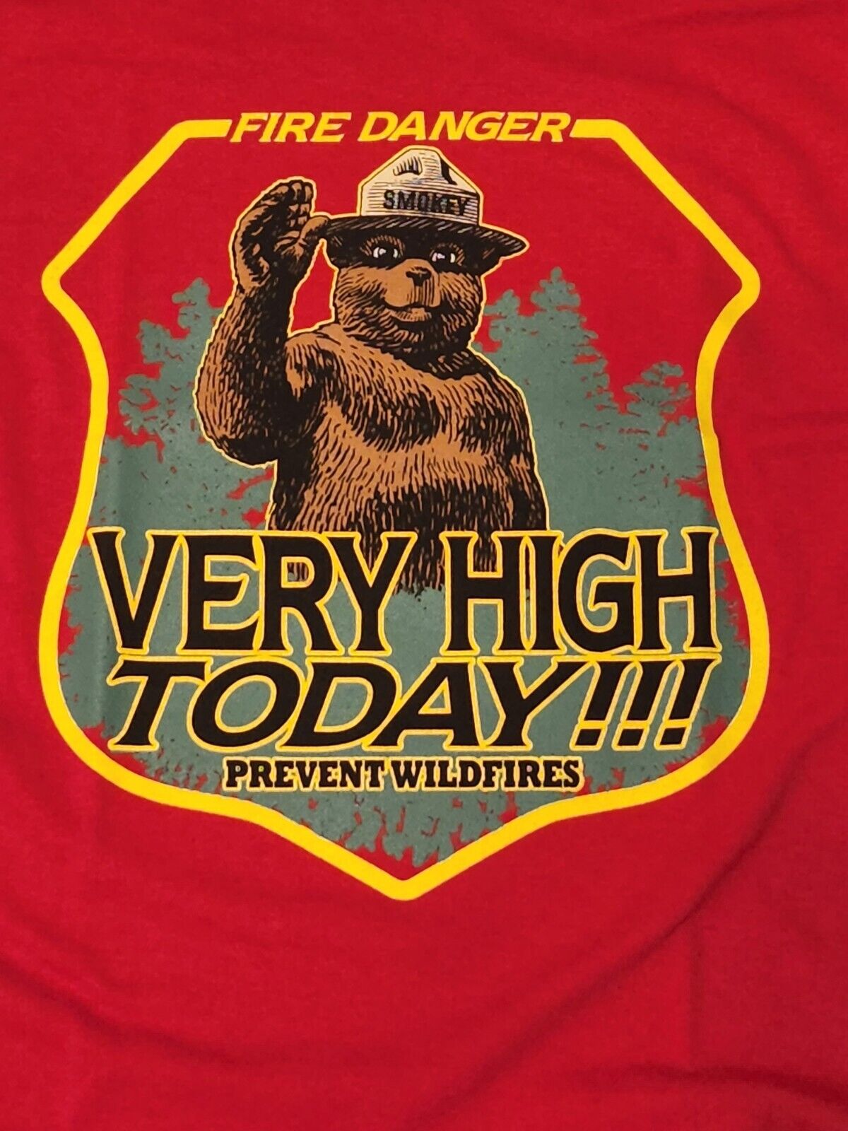 Smokey the Bear Sleeveless T-Shirt - Fire Danger Very High Today Prevent Wildfires - Red Tank Top
